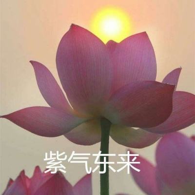 猎魔战记变态版手机版下载
